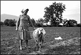 Vita agreste - portfolio 9